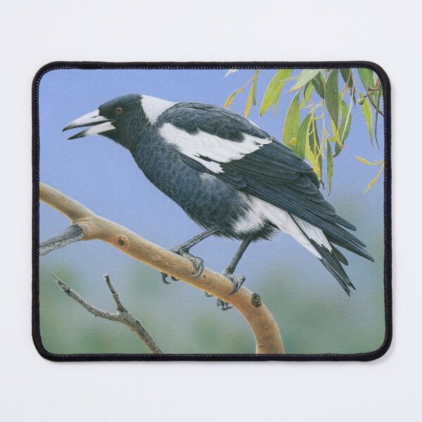 Item preview, "The Pied Piper" (Australian Magpie) designed and sold by Frances McMahon Watercolour Bird Artist.