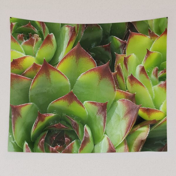 Item preview, Roof shelter designed and sold by GraphicMystical.