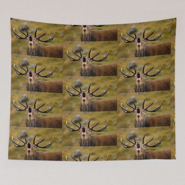 Item preview, A Royal Proclaimation designed and sold by Stuart Robertson Reynolds.