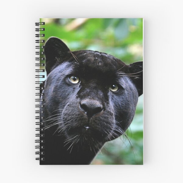 Item preview, Black Jag designed and sold by Stuart Robertson Reynolds.