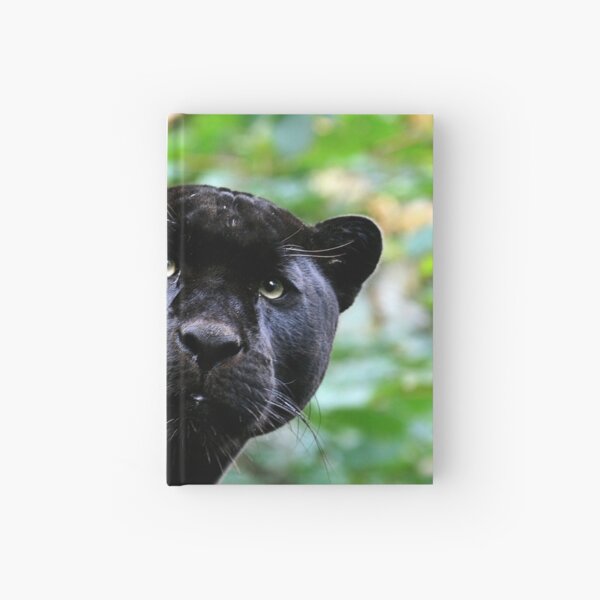 Black Jag Hardcover Journal