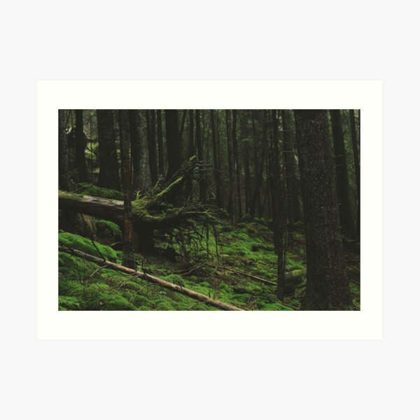Fallen Giant Art Print