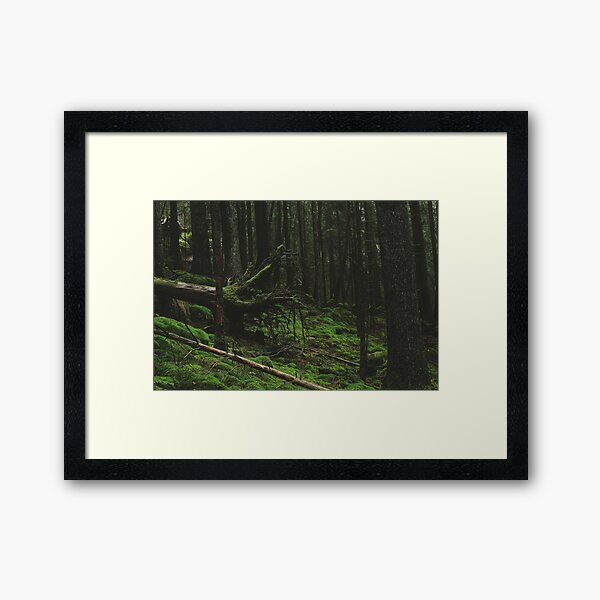 Fallen Giant Framed Art Print