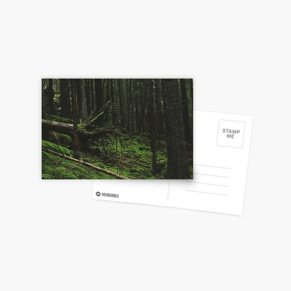 Fallen Giant Postcard