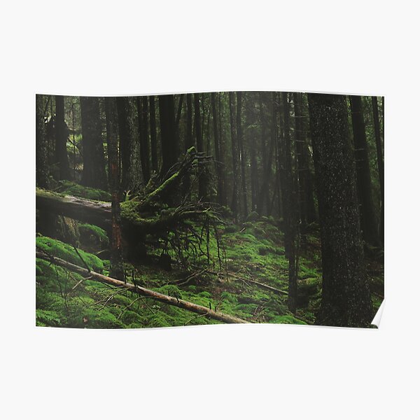 Fallen Giant Poster