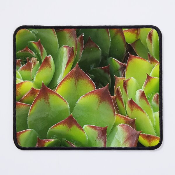 Item preview, Roof shelter designed and sold by GraphicMystical.