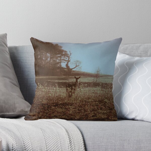 After The Cold Of The Silver Night Throw Pillow