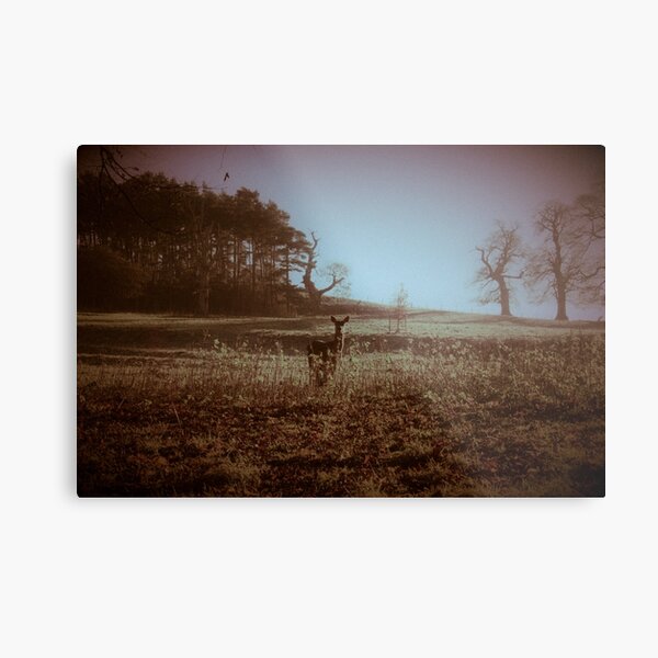 After The Cold Of The Silver Night Metal Print