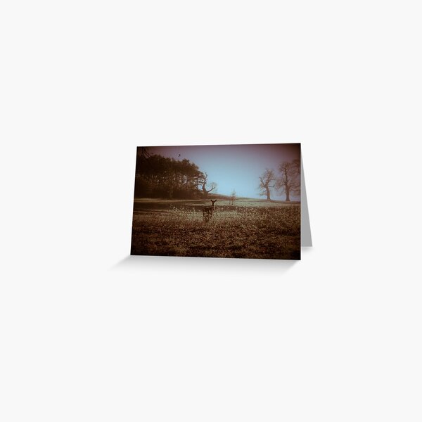 After The Cold Of The Silver Night Greeting Card
