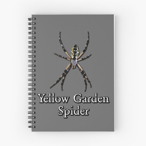 Item preview, Yellow Garden Spider designed and sold by Paul-Prints.