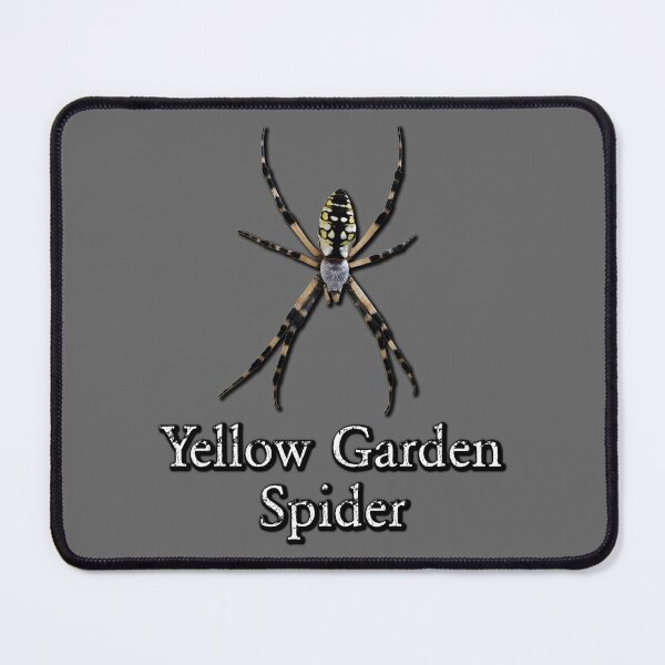 Item preview, Yellow Garden Spider designed and sold by Paul-Prints.