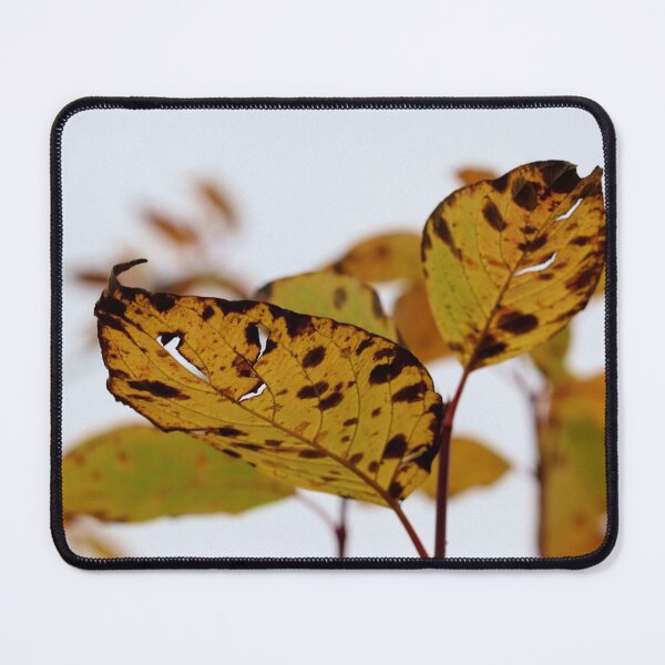 Item preview, Designed to Leaf designed and sold by cuprum.