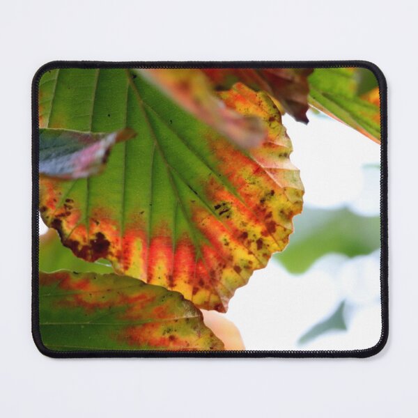 Item preview, One Leaf, Multiple Colors designed and sold by cuprum.