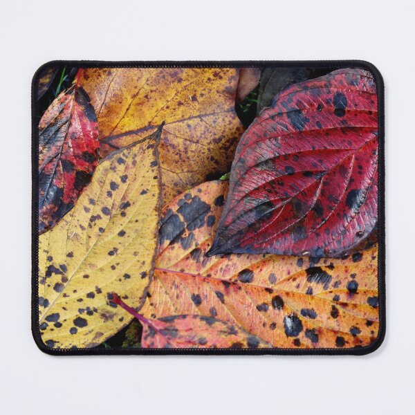 Item preview, Cornus Colors designed and sold by cuprum.