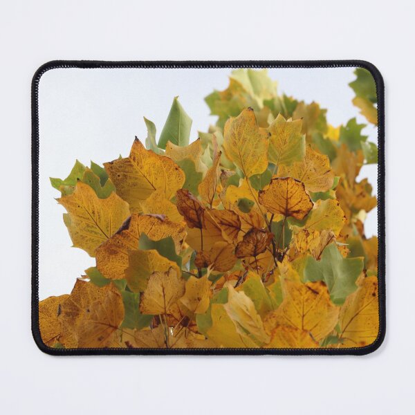 Item preview, Autumn closing in designed and sold by cuprum.
