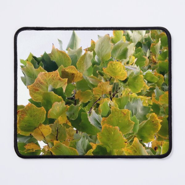 Item preview, Signs of Autumn designed and sold by cuprum.