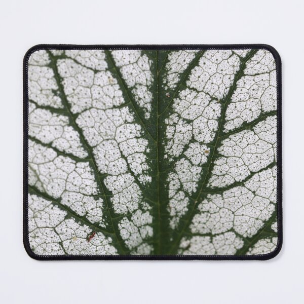 Item preview, Streetplan for insects? designed and sold by cuprum.