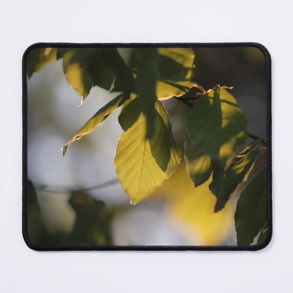 Item preview, Sunlit designed and sold by cuprum.