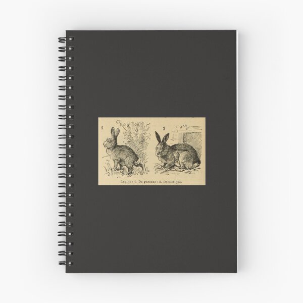 Item preview, Rabbit etching - LAF French antique vintage lithograph  Sticker designed and sold by MargaretSchroed.
