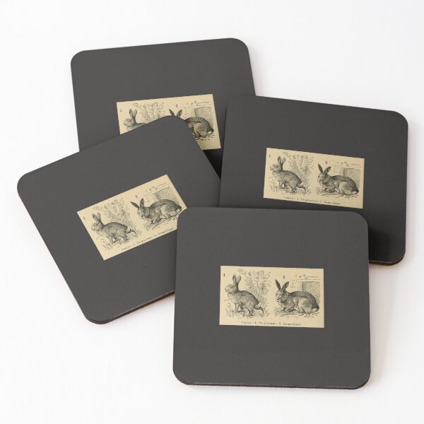 Item preview, Rabbit etching - LAF French antique vintage lithograph  Sticker designed and sold by MargaretSchroed.