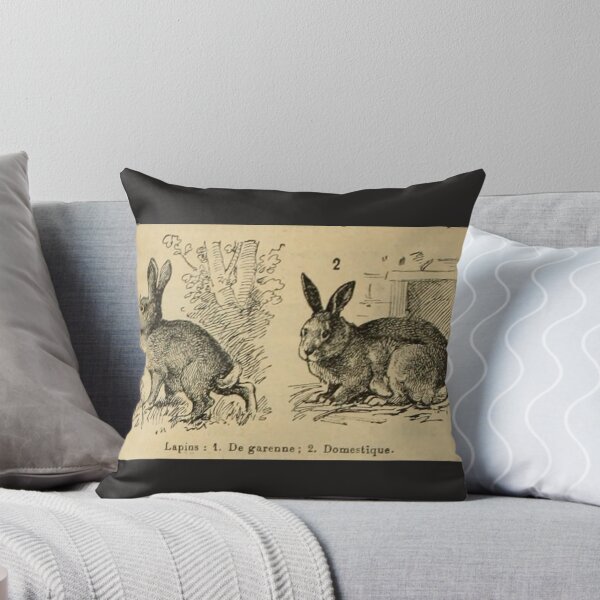 Item preview, Rabbit etching - LAF French antique vintage lithograph  Sticker designed and sold by MargaretSchroed.