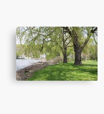 Nature Canvas Print