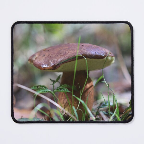 Item preview, Hidden in Plain Sight designed and sold by cuprum.