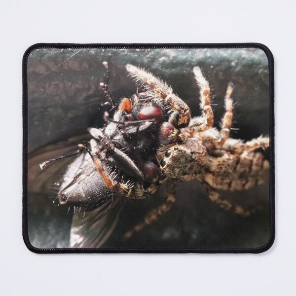Item preview, Gotcha! designed and sold by cuprum.