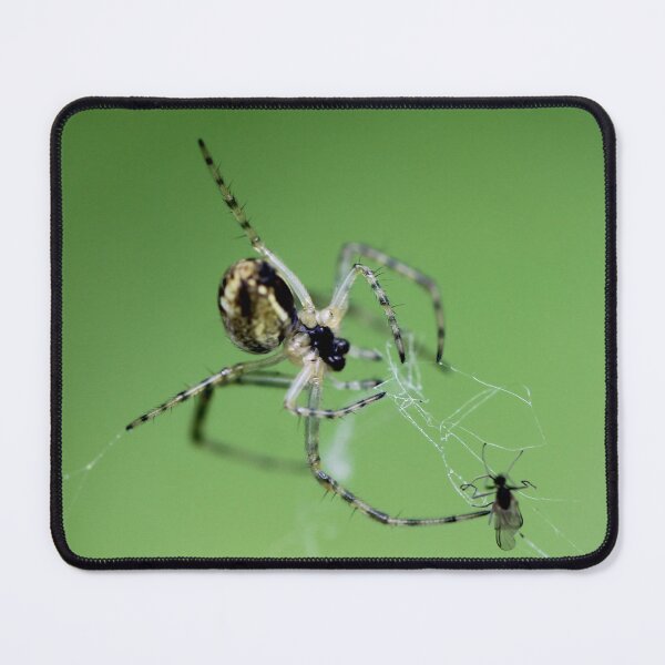 Item preview, Reel 'm in designed and sold by cuprum.
