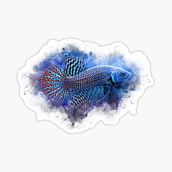 Kampffisch Alien Blau - Betta splendens Sticker