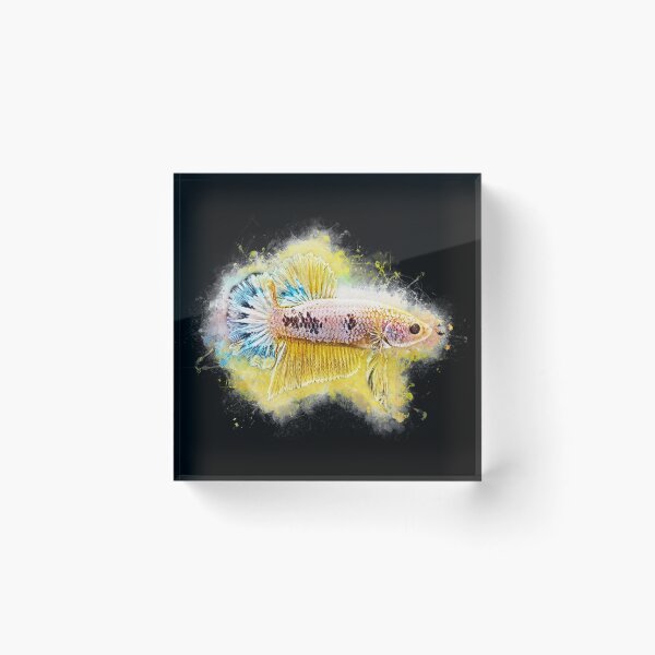 Item preview, Fighting fish Halfmoon metallic designed and sold by AquariumLutter.