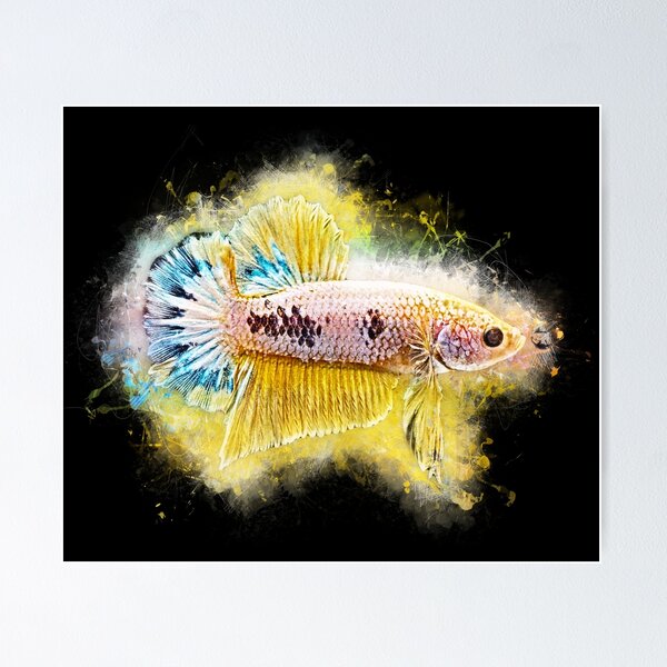 Item preview, Fighting fish Halfmoon metallic designed and sold by AquariumLutter.