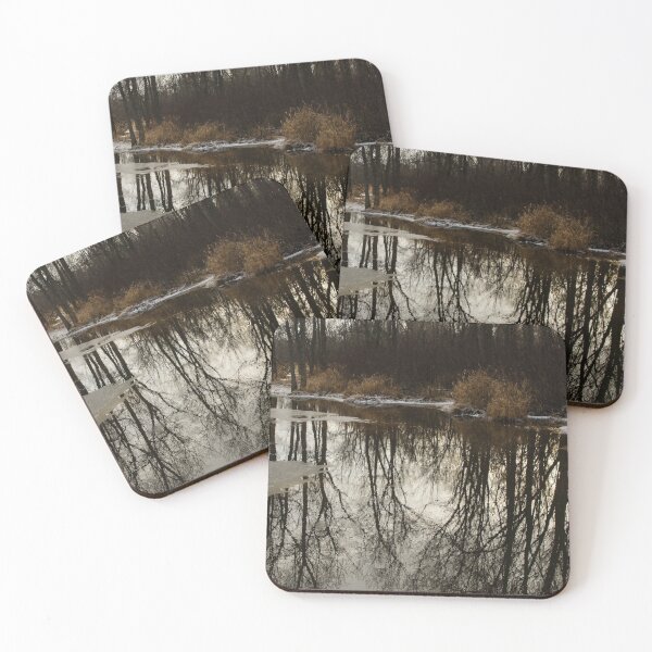Item preview, Of Trees and Mirrors - Prince Edward County Forest designed and sold by Georgia Mizuleva.