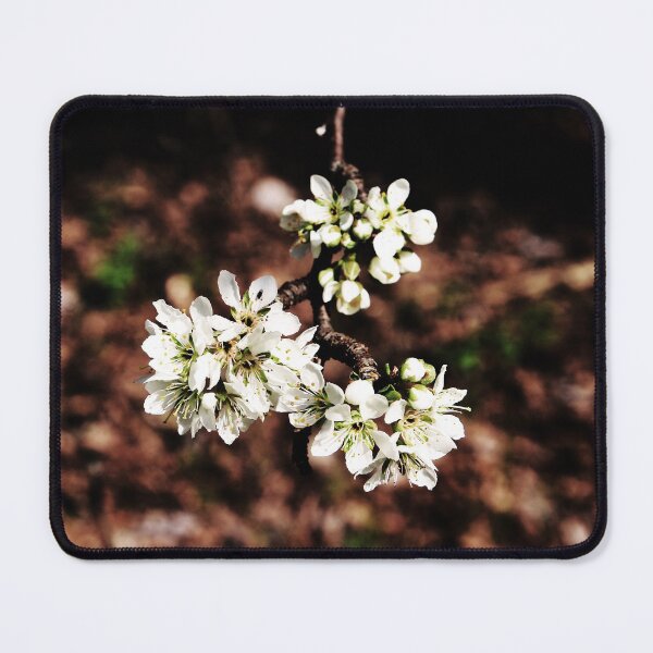 Item preview, Plum Blossoms designed and sold by Lens2Canvas.