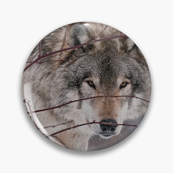 Artikelvorschau, Grauer Wolf entworfen und verkauft von Michael Cummings.