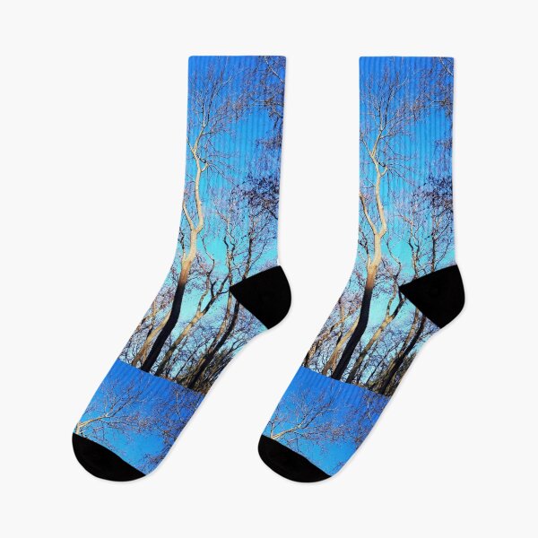 Item preview, Bare winter trees against the background of the blue cloudless sky  designed and sold by helenkaiy.