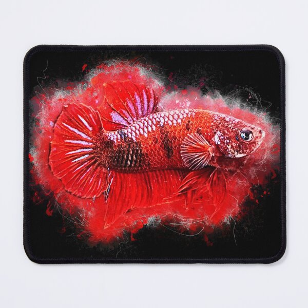 Item preview, Fighting fish Hellboy - Betta splendens. designed and sold by AquariumLutter.