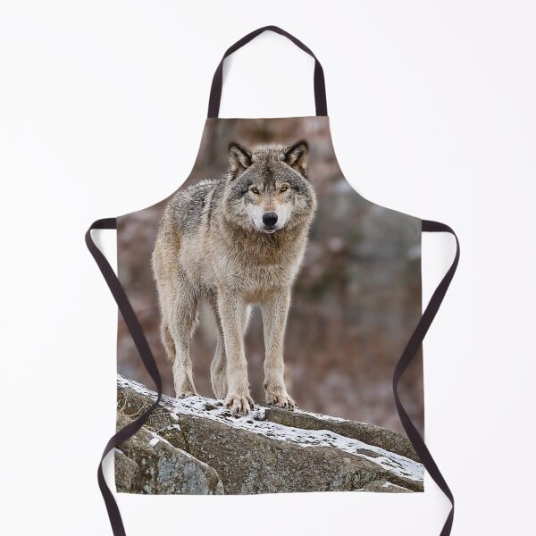Artikelvorschau, Grauer Wolf auf Felsen entworfen und verkauft von Michael Cummings.