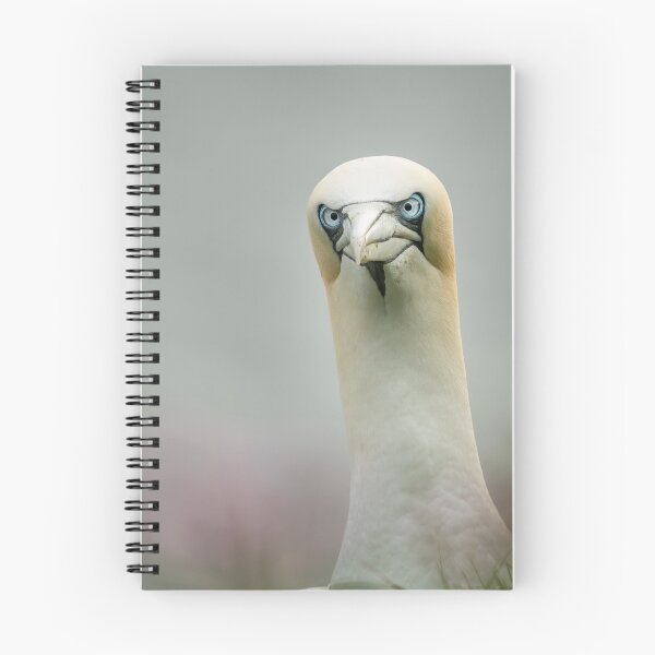 Item preview, Gannet designed and sold by JackBranscombe.