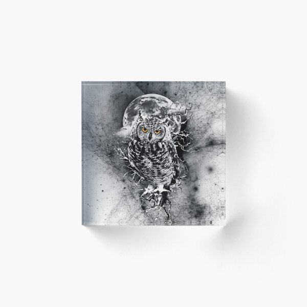 OWL BW Acrylic Block