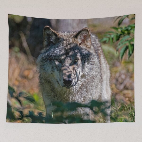 Item preview, Timber Wolf designed and sold by Michael Cummings.