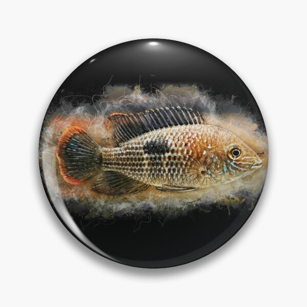 Item preview, Goldsaum cichlid - Aequdens rivulatus designed and sold by AquariumLutter.
