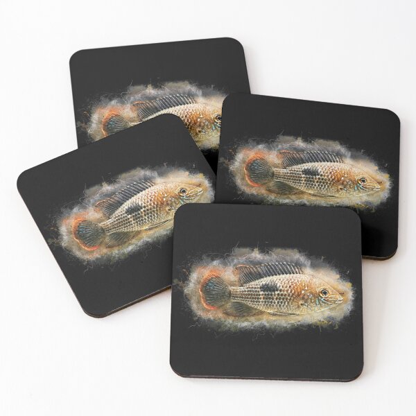 Item preview, Goldsaum cichlid - Aequdens rivulatus designed and sold by AquariumLutter.