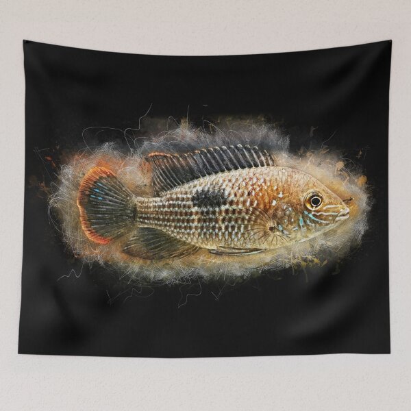 Item preview, Goldsaum cichlid - Aequdens rivulatus designed and sold by AquariumLutter.