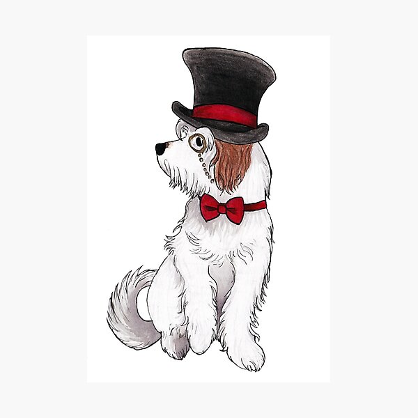 Item preview, Gentleman Dog designed and sold by MalteseLizzie.