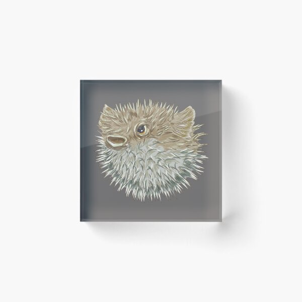 Item preview, Blowfish designed and sold by NEOFO.