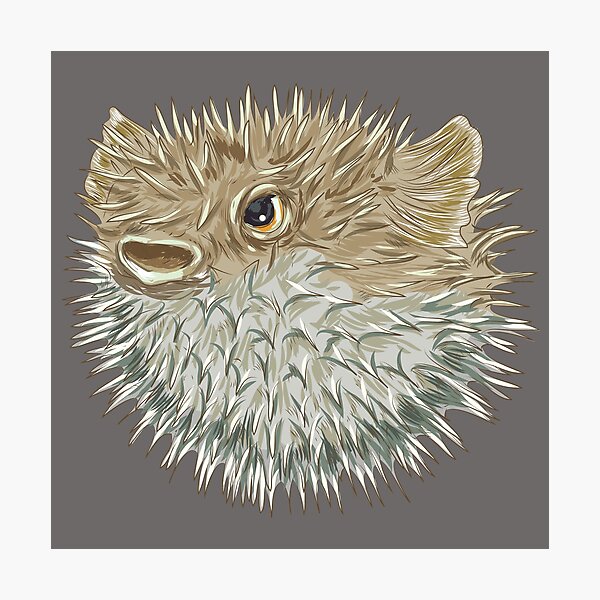 Item preview, Blowfish designed and sold by NEOFO.