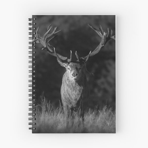 Item preview, Moody Red Deer Stag monochrome designed and sold by JackBranscombe.