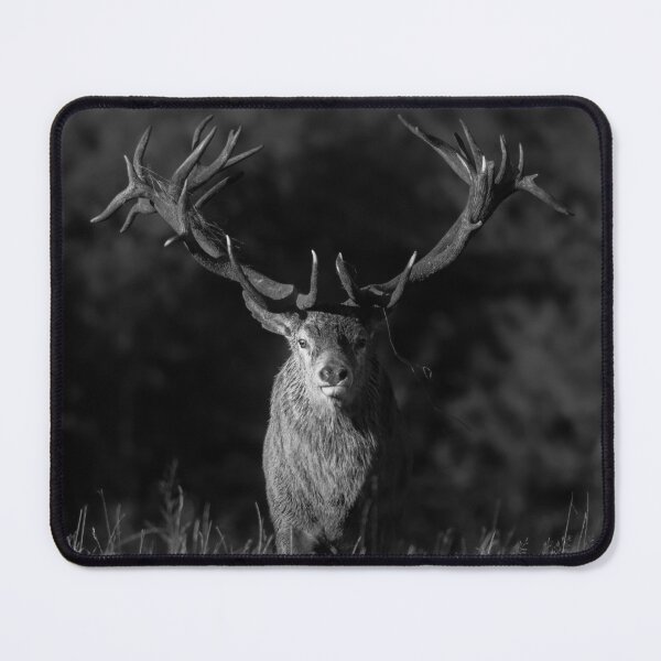 Item preview, Moody Red Deer Stag monochrome designed and sold by JackBranscombe.