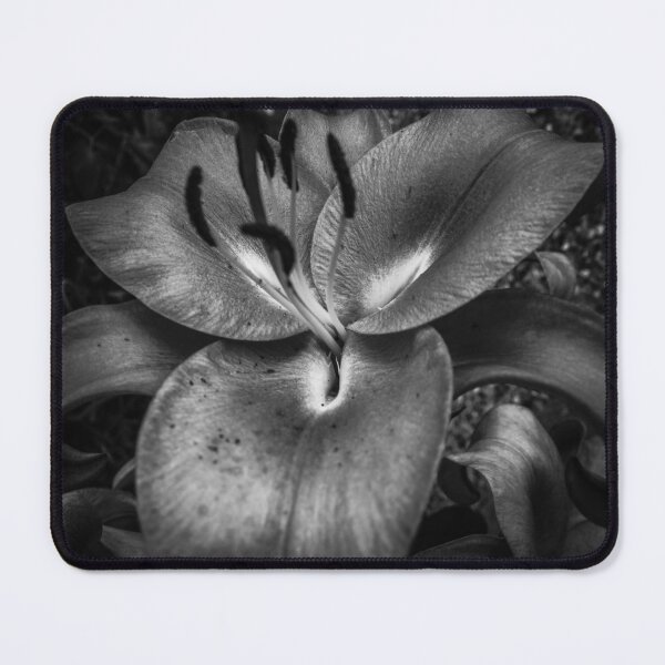 Item preview, grey lily designed and sold by Perggals© - Stacey Turner.